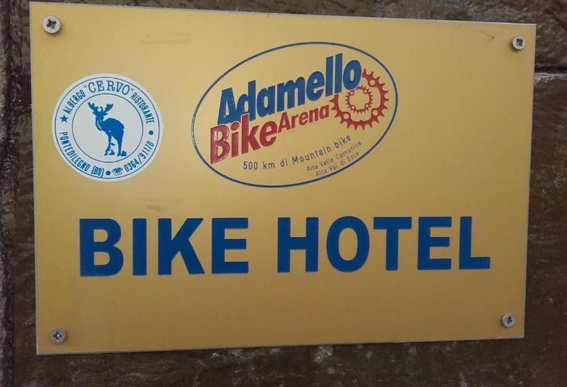 בית מלון כפרי Albergo Cervo