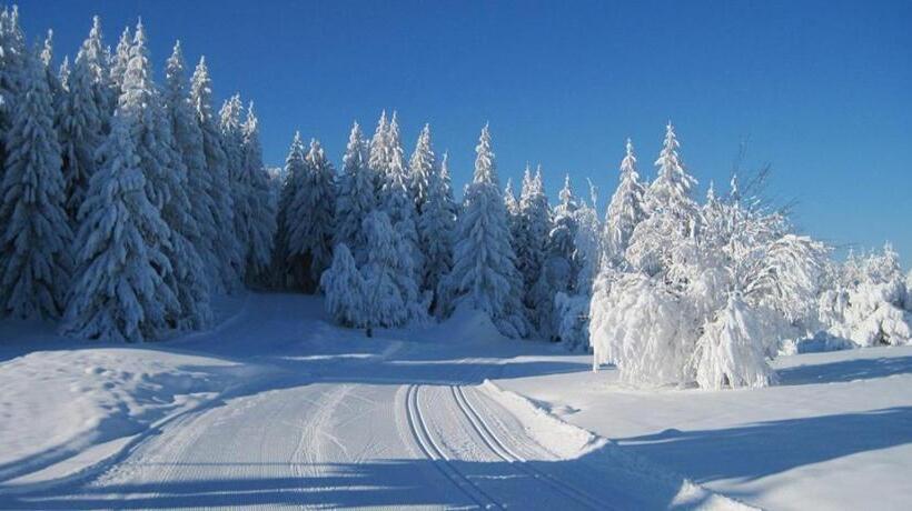 Отель Albergo Ristorante Il Laghetto