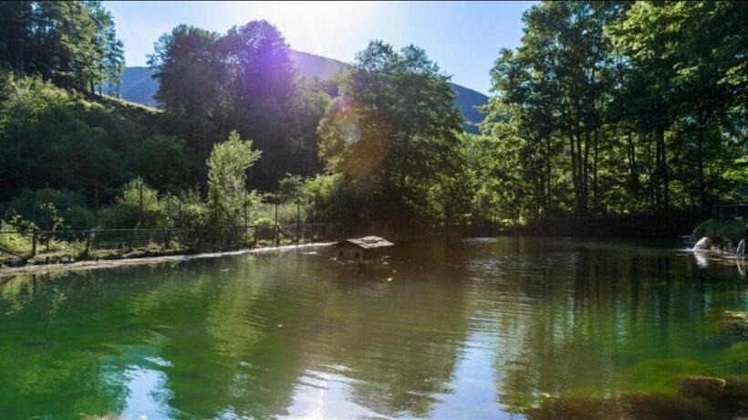 Отель Albergo Ristorante Il Laghetto