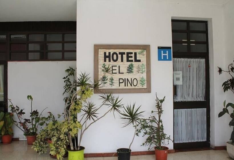 호텔 El Pino