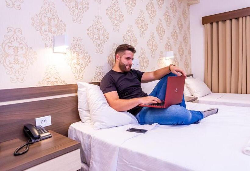 בית מלון כפרי Ellus