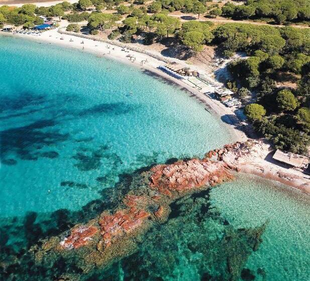 酒店 Hôtel Ambassador Palombaggia