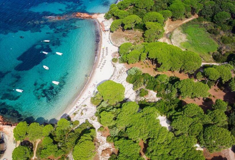 酒店 Hôtel Ambassador Palombaggia