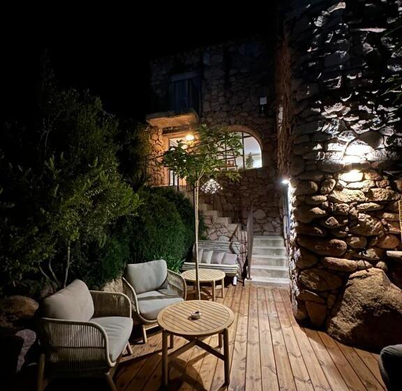 酒店 Hôtel Ambassador Palombaggia