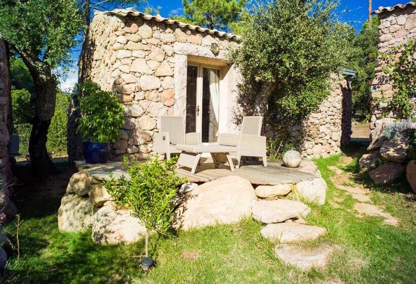 酒店 Hôtel Ambassador Palombaggia