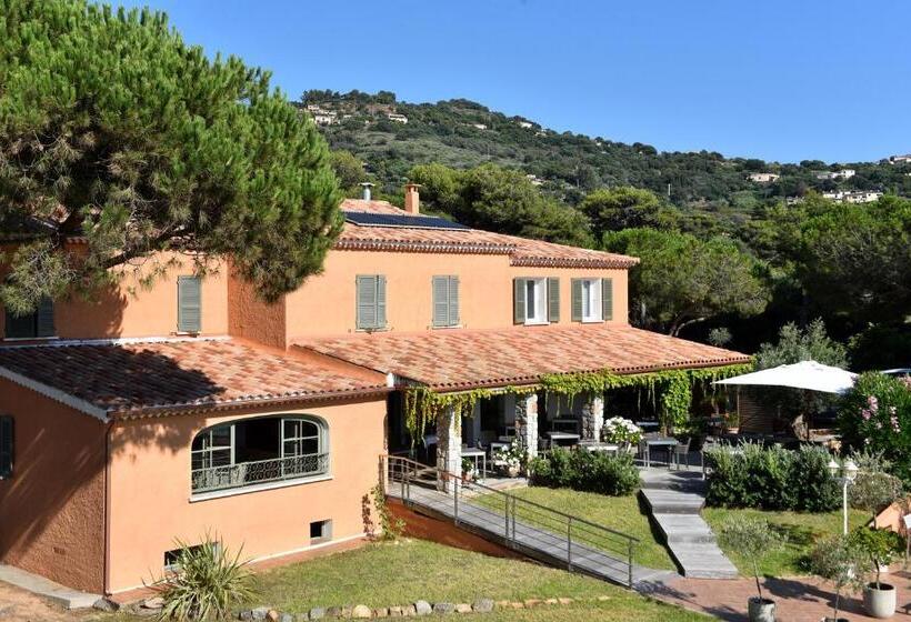 Отель Hôtel Les Lentisques