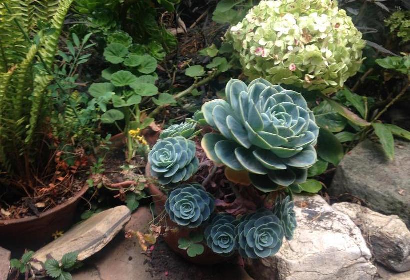 ホテル La Casona Monsante