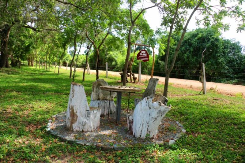 호텔 Lavish Eco Jungle