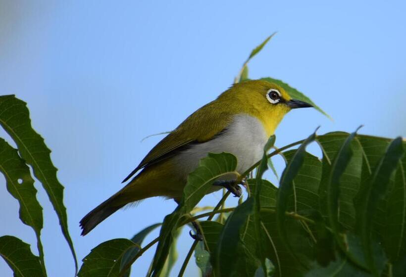 호텔 Lavish Eco Jungle