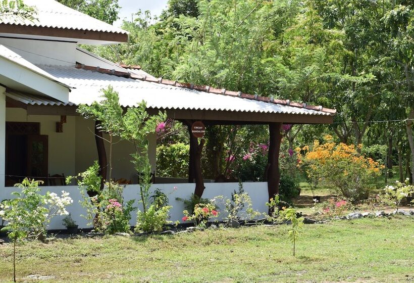 호텔 Lavish Eco Jungle