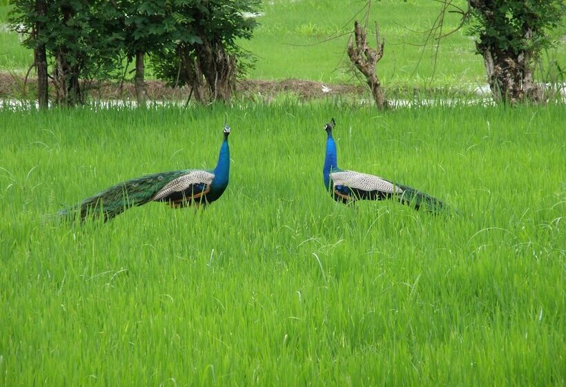 호텔 Lavish Eco Jungle