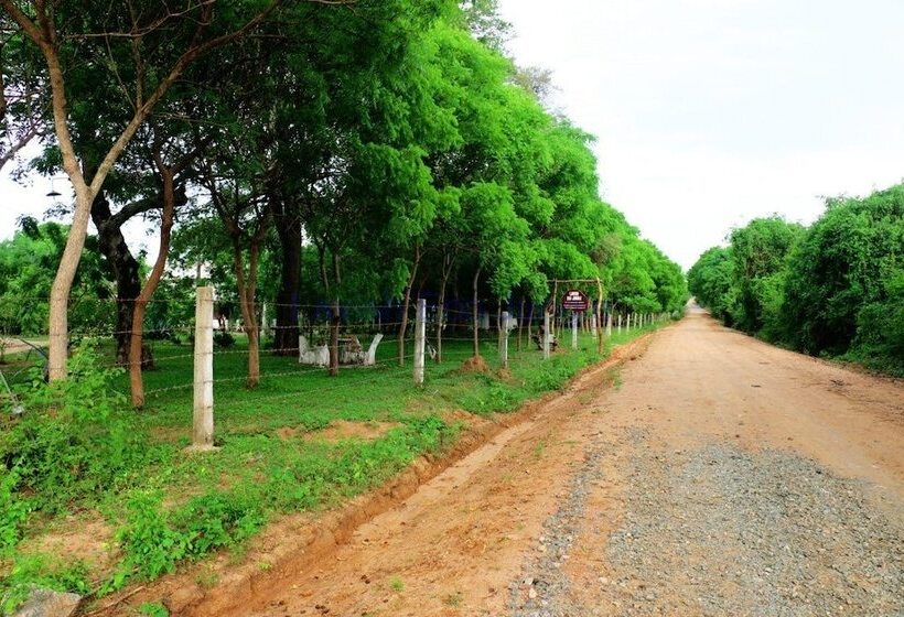 호텔 Lavish Eco Jungle