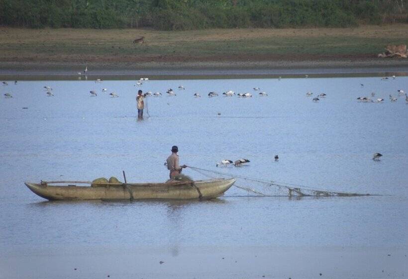 호텔 Lavish Eco Jungle