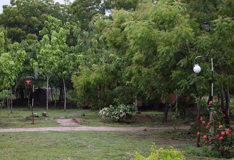 호텔 Lavish Eco Jungle