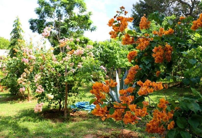 호텔 Lavish Eco Jungle