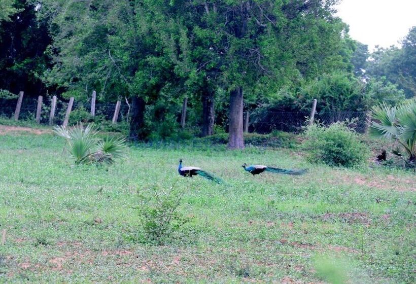 호텔 Lavish Eco Jungle