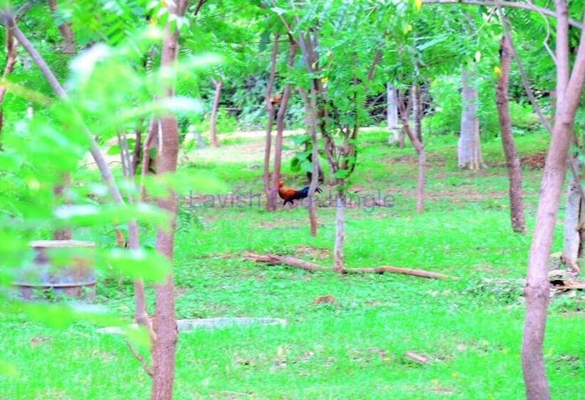 호텔 Lavish Eco Jungle