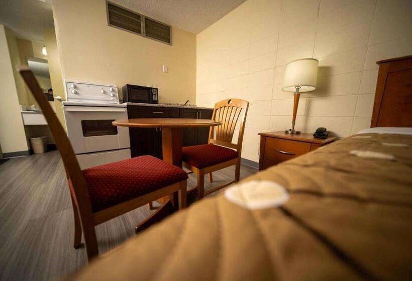 בית מלון כפרי Northern Lights Inn