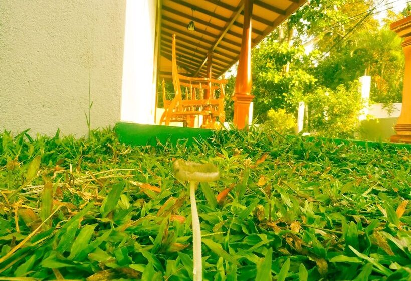 Отель Talalla Sea Anemone