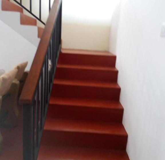 Отель Talalla Sea Anemone