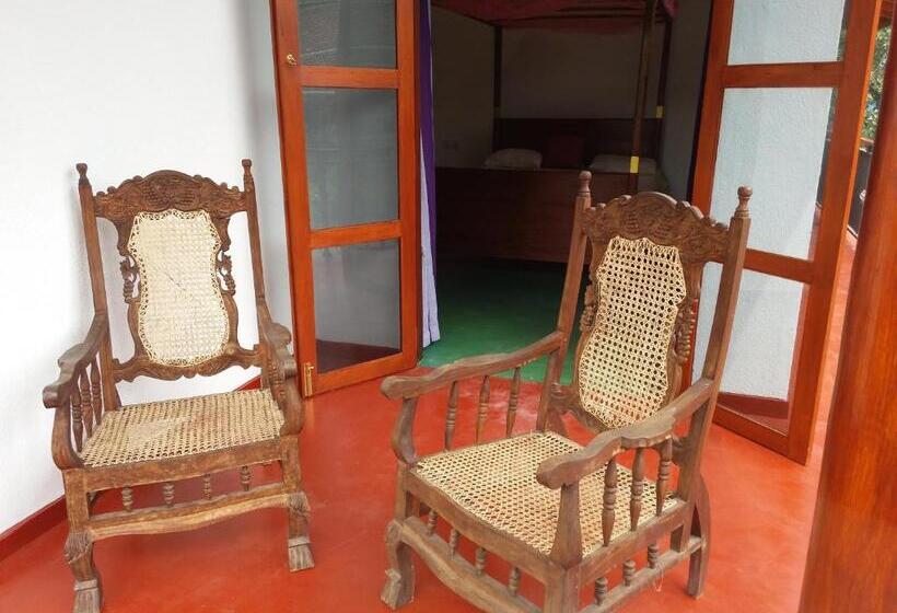 Отель Talalla Sea Anemone