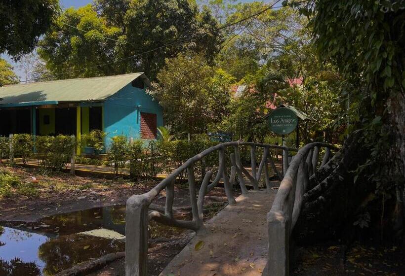 Los Amigos Jungle Hotel Tortuguero