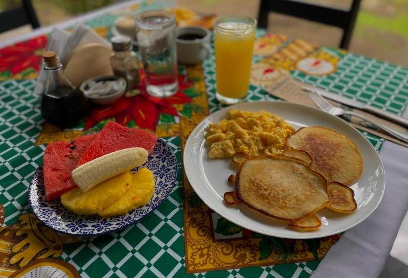 Los Amigos Jungle Hotel Tortuguero