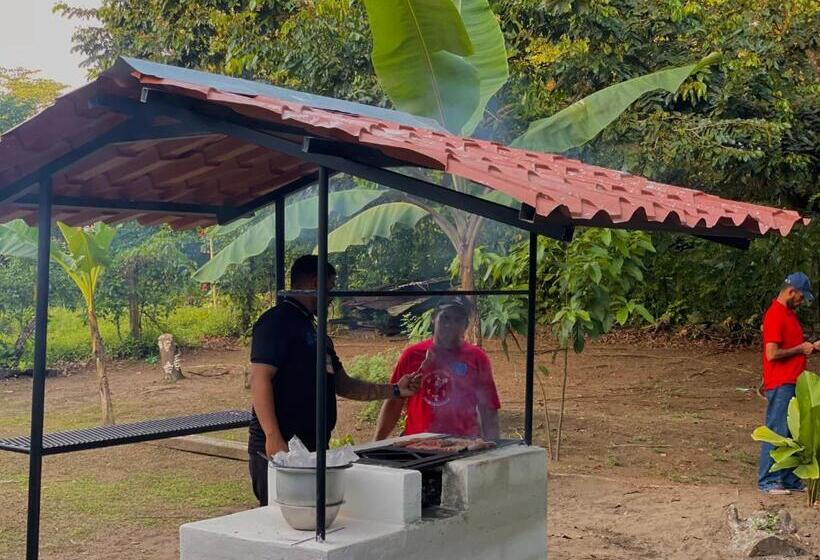 Los Amigos Jungle Hotel Tortuguero