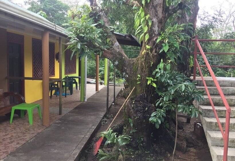 Los Amigos Jungle Hotel Tortuguero