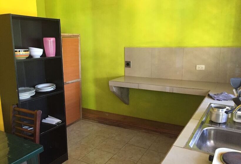 Los Amigos Jungle Hotel Tortuguero