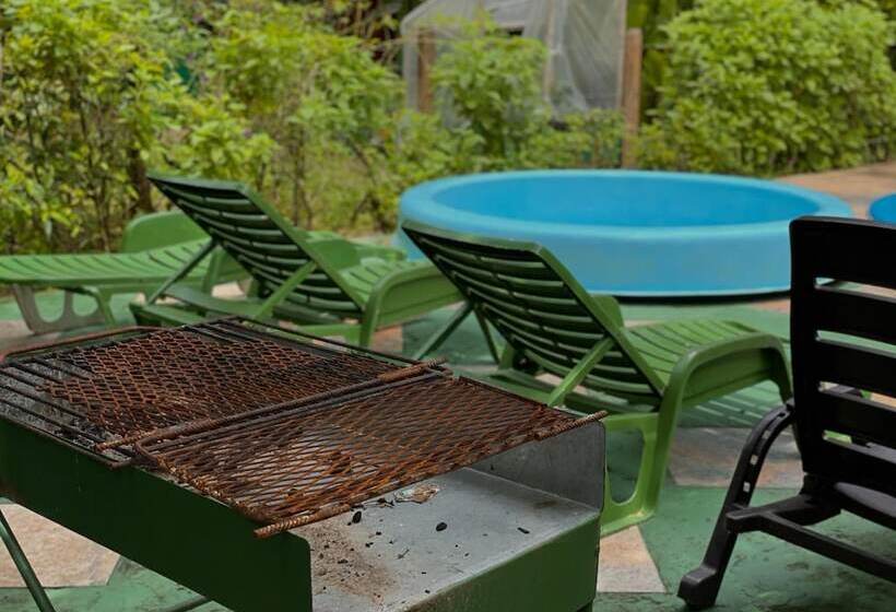 Los Amigos Jungle Hotel Tortuguero