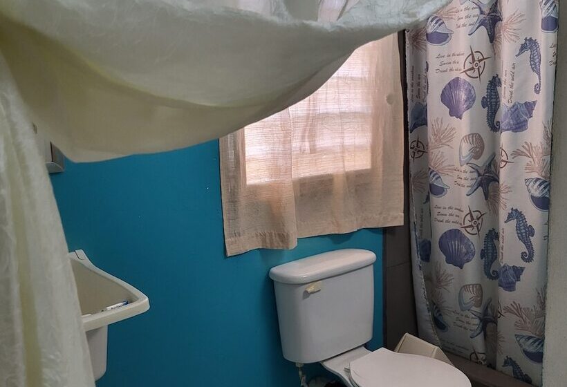 פנסיון Hacienda Tropical Guest House