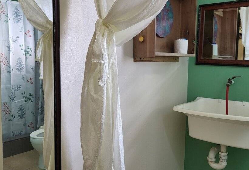 פנסיון Hacienda Tropical Guest House