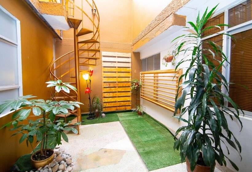 בית מלון כפרי Sosa House