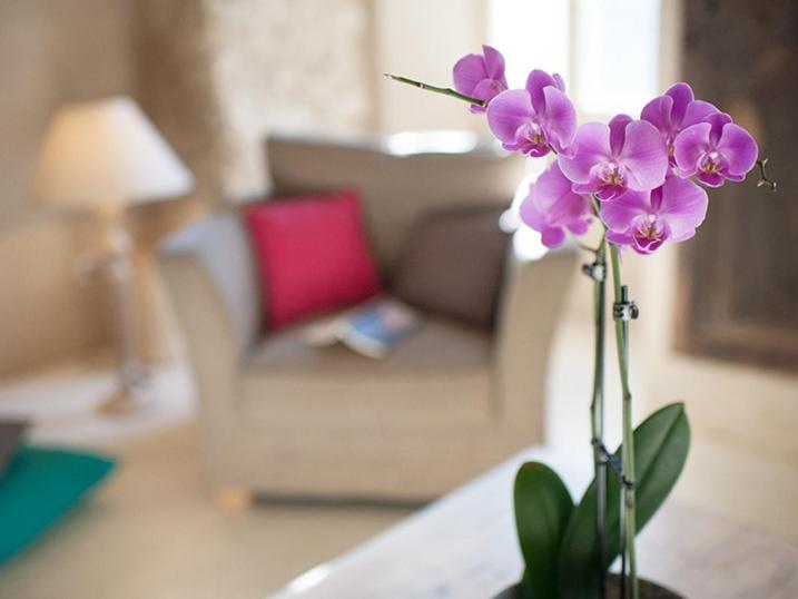 مبيت وإفطار Domaine La Parpaille