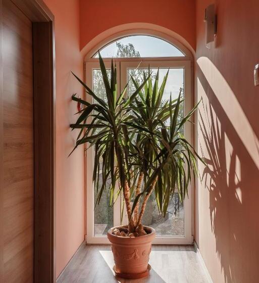 Bed and Breakfast Garden Vendégház Makó