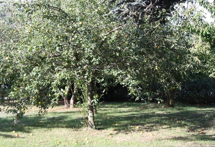 Bed and Breakfast La Villa Blanc