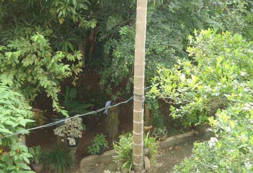 민박 New Jaya Villa