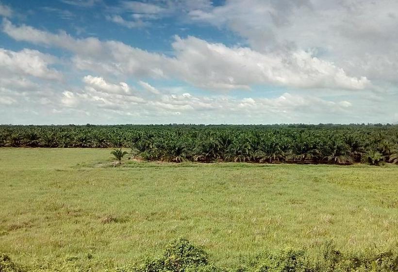 ベッドアンドブレックファースト Suratthani Airport Mini Hostel