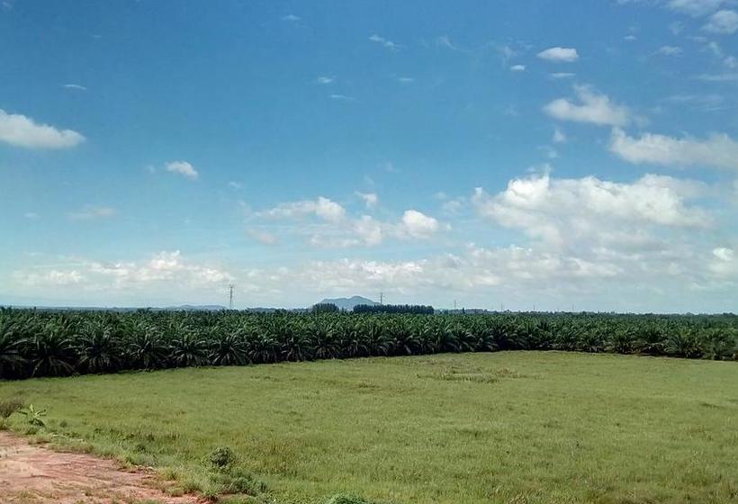 ベッドアンドブレックファースト Suratthani Airport Mini Hostel