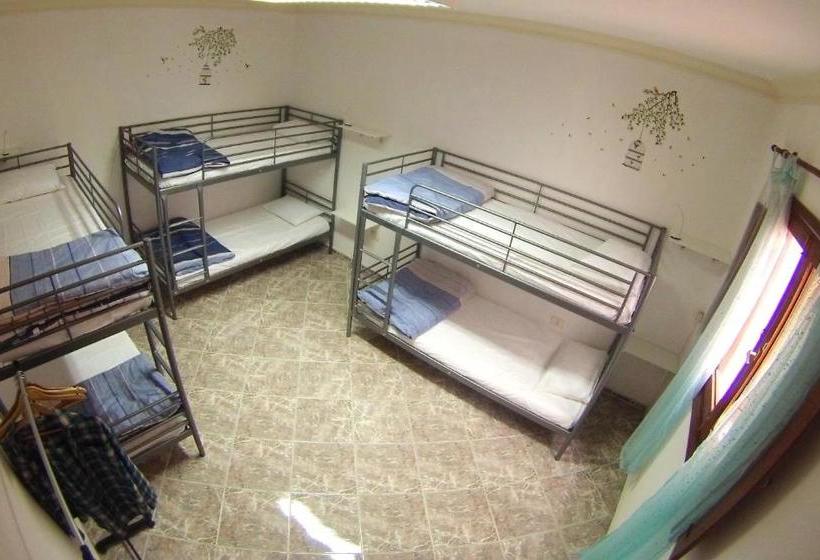 Canary Sun Hostel