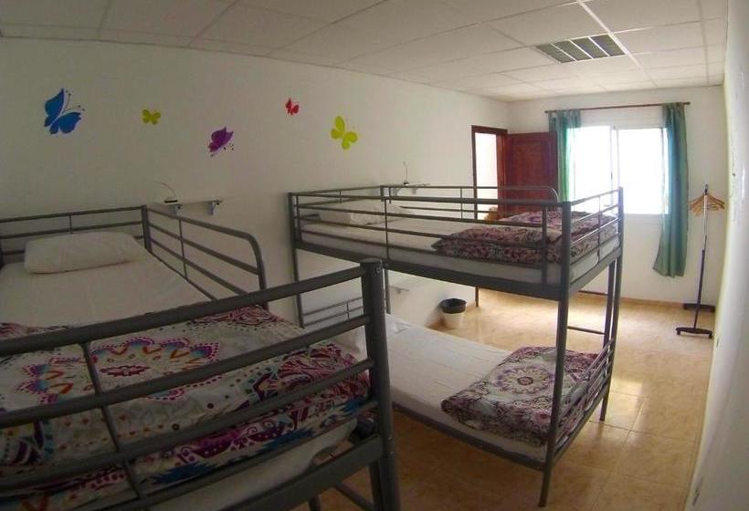 Canary Sun Hostel