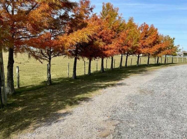 Complejo Turistico Flores Hotel De Campo