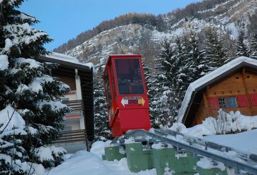 בית מלון כפרי Alex