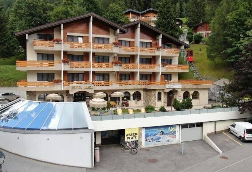 בית מלון כפרי Alex