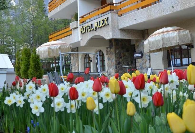 בית מלון כפרי Alex