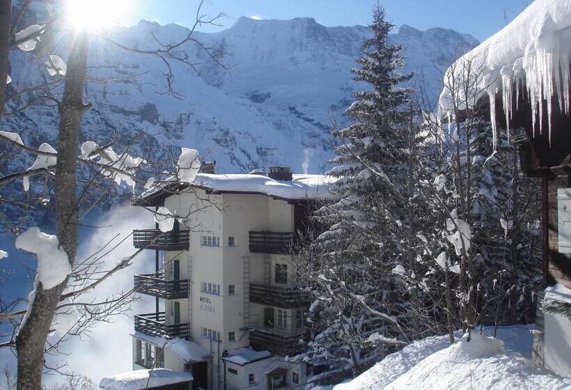 Отель Alpina