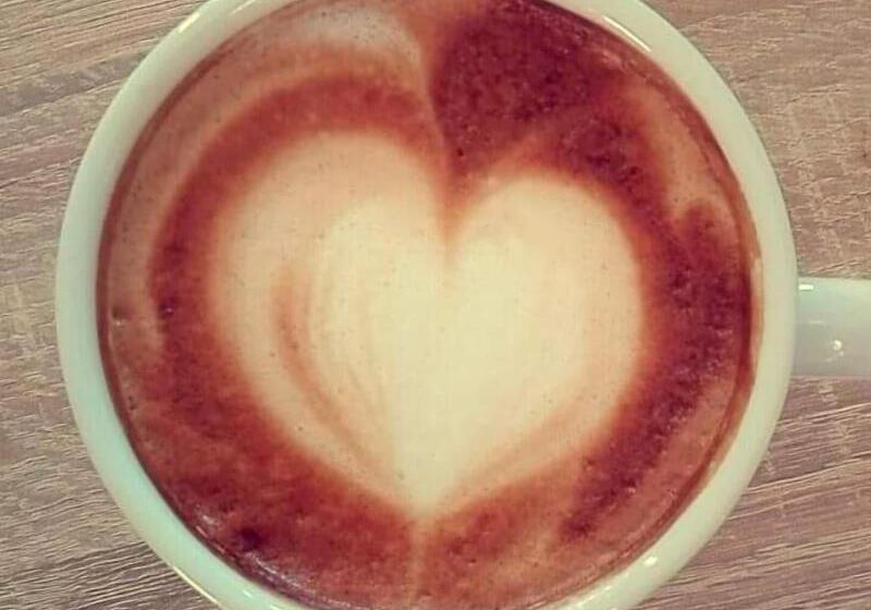 בית מלון כפרי Falcon