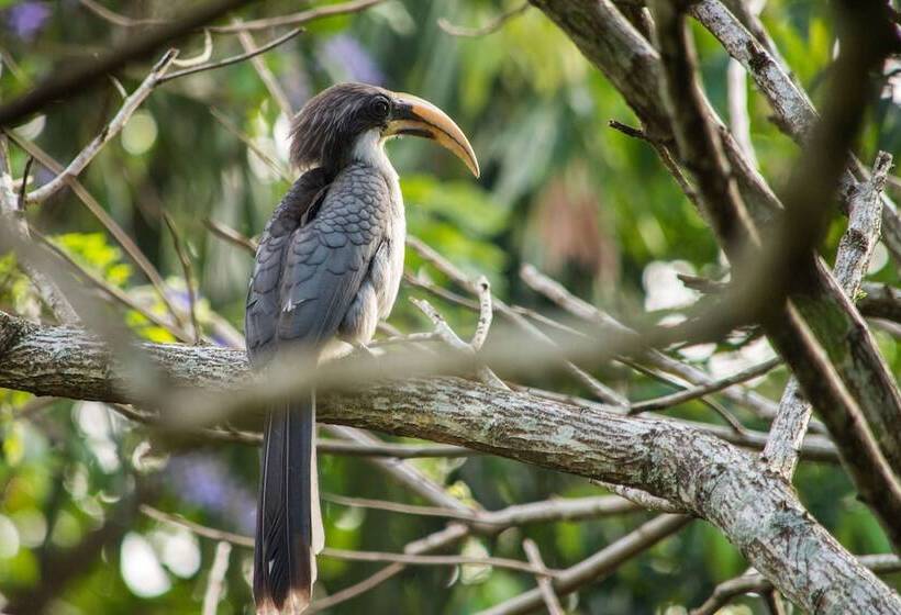 호텔 Kings Pavilion Luxury