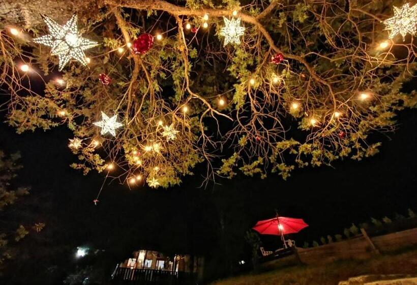 ホテル Luchita Mia Eco Cabañas Boutique